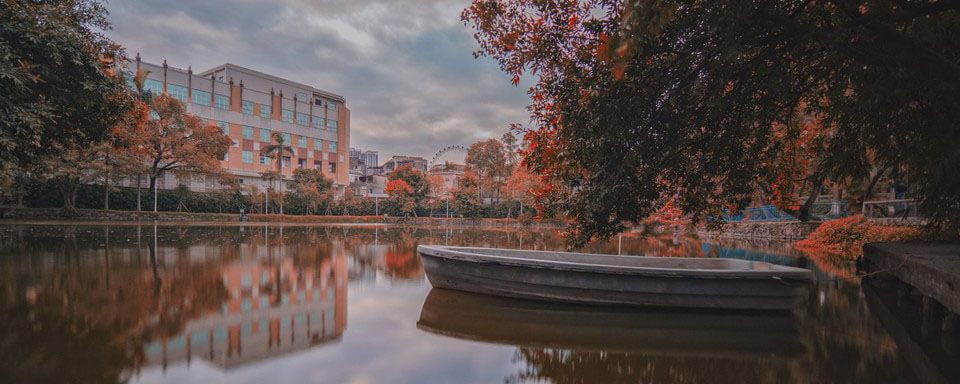 北京餐饮发票